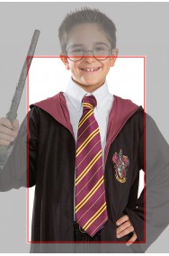 Harry Potter Cravatta Grifondoro