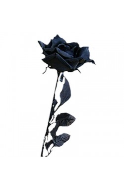 Rosa nera finta fiore di plastica