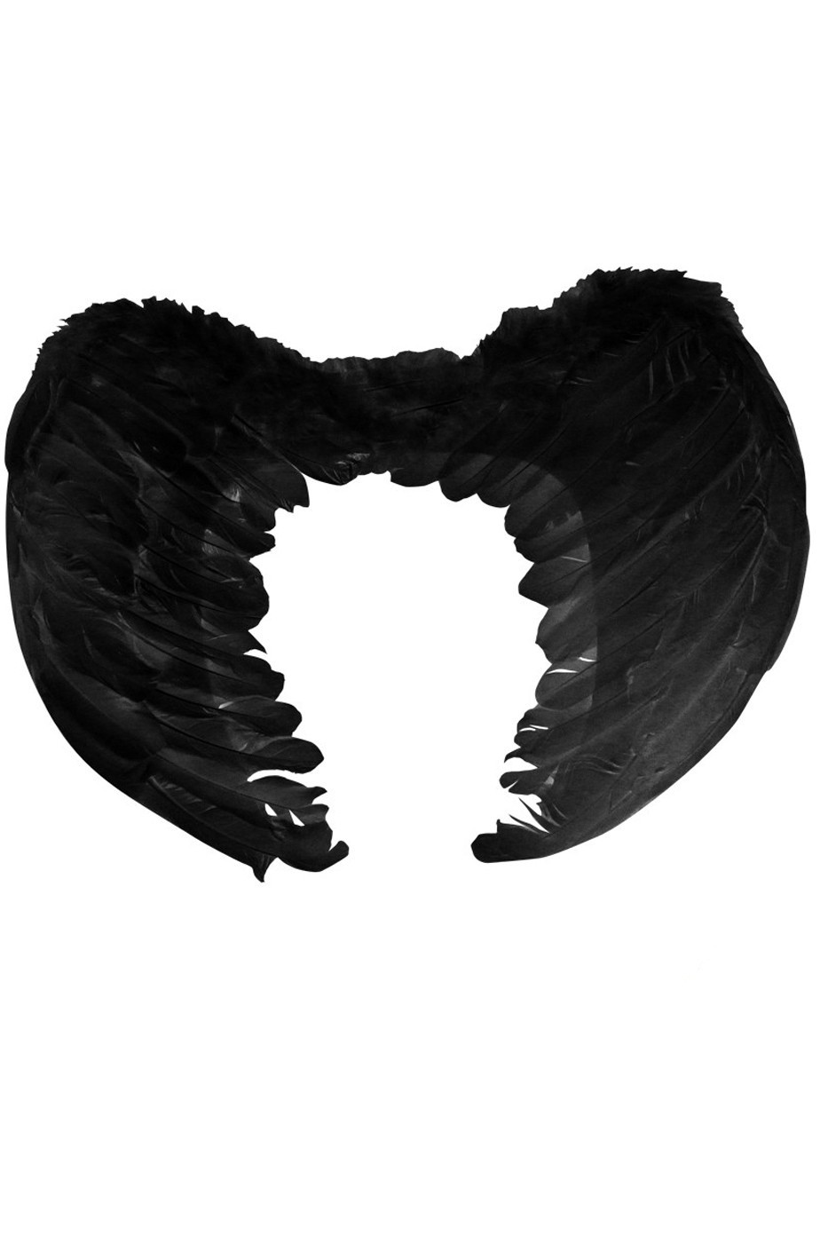 Ali D'angelo - Ali Di Piume Bianche E Nere Per Spettacoli Di Adulti