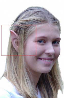 Protesi orecchie hobbit e elfo in lattice sotile con colla medie circa cm 8