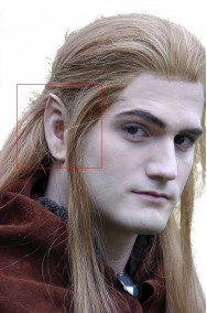 Protesi orecchie hobbit e elfo piccole in lattice sottile con colla circa cm 