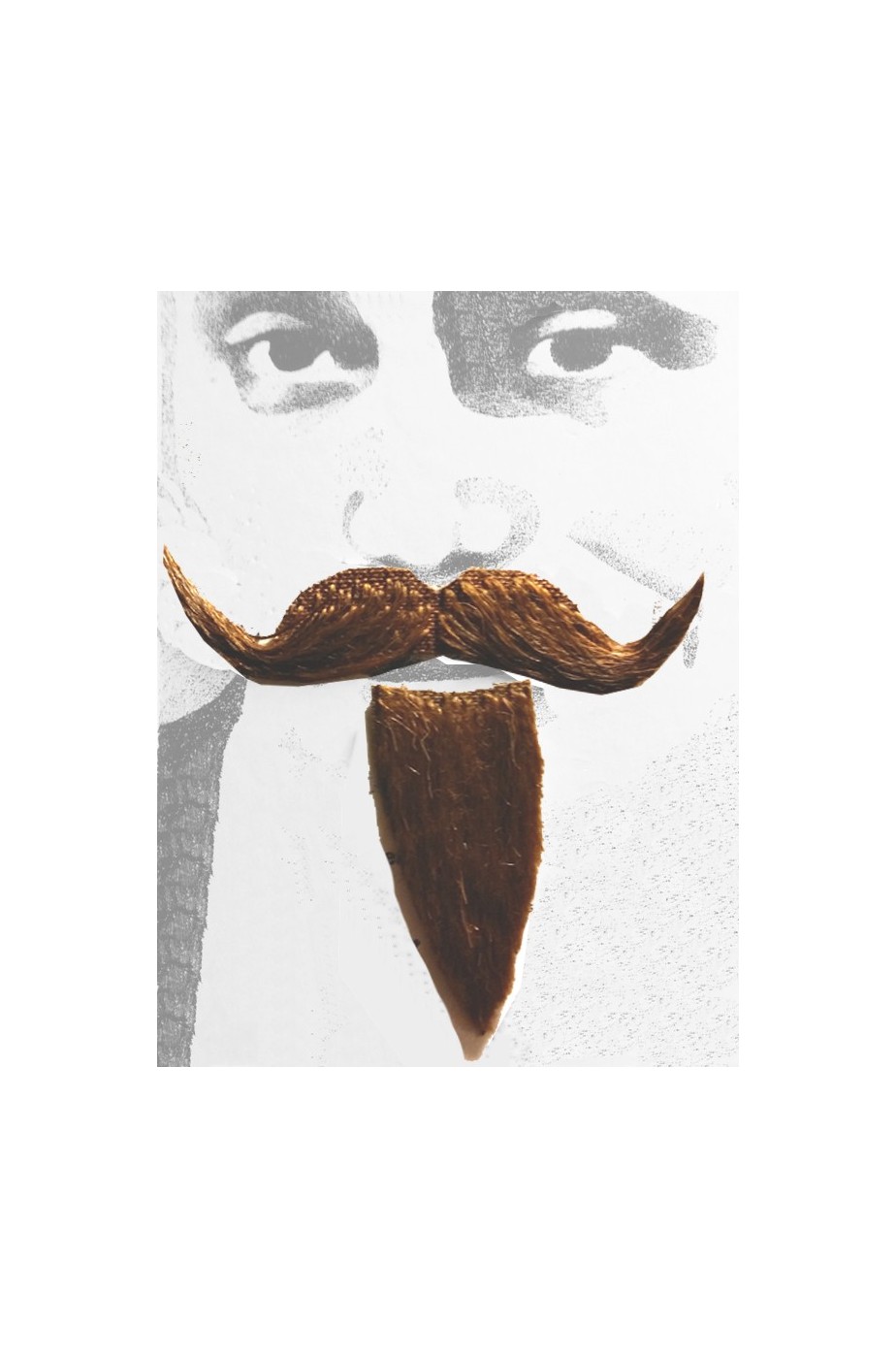 Barba e baffi finti moschettiere. Pizzetto e baffo a manubrio marrone Boheme Barba e baffi finti moschettiere. Pizzetto e baffo a manubrio marrone Boheme
