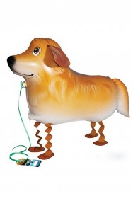 Animaletto gonfiabile che cammina: cagnolino golden retriever