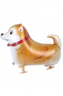Animaletto gonfiabile che cammina: cagnolino volpino